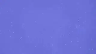 a little music to computer generated snowfall Music: Wind Leaves Musician: Eugenio Mininni