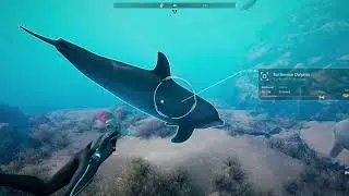 Beyond Blue Gameplay (PC Game)