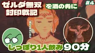 【ゼルダ無双封印戦記】酔ってたら知らないおじさんで無双してた件【K&(K)/飲酒実況/飲酒配信/飲酒無双】