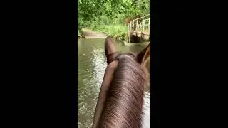 Barney&rsquo;s 1st Hack