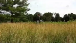 Chantilly National Lightning Horn
