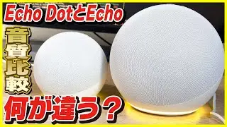 Echo DotとEchoってどう違うの？音質比較してみたら全然違った…！【第4世代】【Amazonセールのおすすめ！】