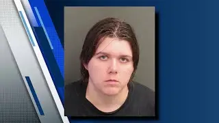Violent protestor arrested at anti-ICE demonstration in Orlando, deputies say