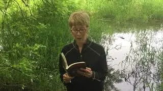 Marilyn Johnston presents 