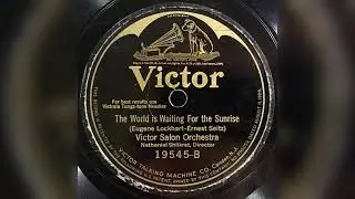 1925 Victor Salon Orchestra &ndash; B The World Is Waiting For The Sunshine