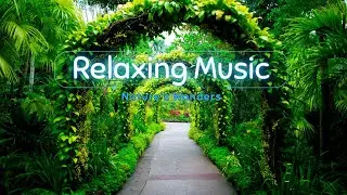 Dreamy Serenade: Sleeping Music with Enchanting Floral Scenes