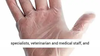 Medpride Medical Vinyl Examination Gloves Latex and Powder expert review and best price