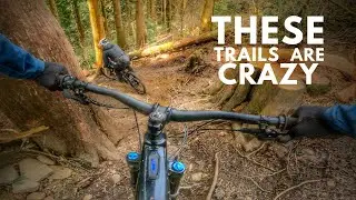 Riding Abercarn Steep Technical MTB Trails | Group Ride