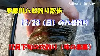 【おやじの休日】多摩川ハゼ釣り散歩