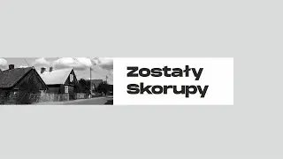 DetalFest 2021 - Zostały Skorupy - wykład Piotra Znanieckiego