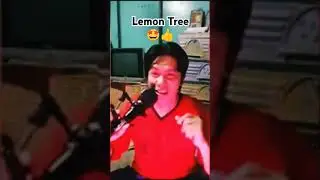Lemon Tree   #coversong  #lemontree #MidnightMusic #lemontreesong