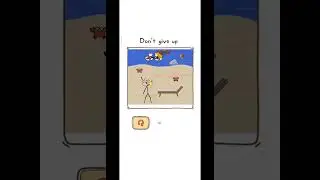 Thief Puzzle Level 220