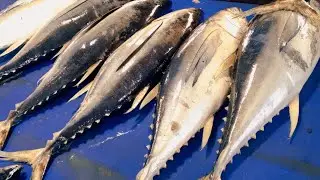 real live ! masterful tuna cutting - samurai style #traditionalmarket #fishcutting