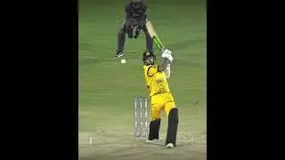 How good has Aamer Jamal been for Zalmi this season? 🔥