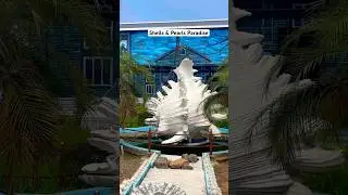 Sea Shell Museum Mahabalipuram | Incredible Shells, Pearls & Dinosaur Fun for Kids!