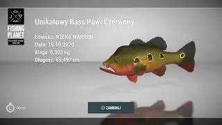 Fishing Planet #597 : Boliwia - Rzeka Marron Nareszcie Jest : Unikatowy Bass Pawi Czerwony 6.3 kg :)