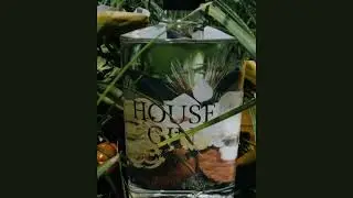 Cultural Story 2024 | HOUSE GIN