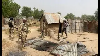 11 terrorists surrender as troops kill eight in Borno