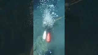 Tek Dive Malpique - Punkfish Rocks
