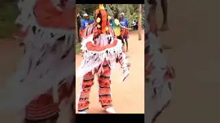ESAN OYEE!! Esan Acrobatic Dance (Igbagbonelimi)🔥🔥#esanculture #esanoyee