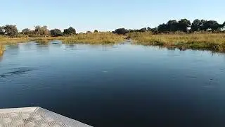 Deep down 👎👇 into the beautiful Eastern okavango panhandle region....@ Okavango delta..