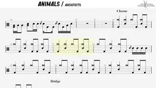 How to play Animals - Architects on Drums