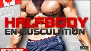 Le PROGRAMME HALFBODY en musculation