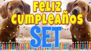 &iexcl;Feliz Cumplea&ntilde;os Set! (Perros hablando gracioso) &iexcl;Muchas Felicidades Set!