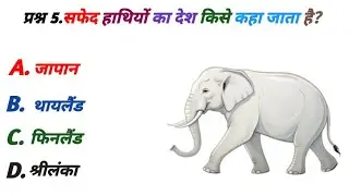 #gk #gkquiz #study #facts #explore #hindi #quiz #education #learning #gkinhindi #knowledge #learn 