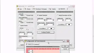 Configurando  impress&atilde;o lotecando