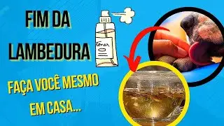 COMO FAZER CACHORRO PARAR DE LAMBER PATA REM&Eacute;DIO CASEIRO CURA DERMATITE DOS C&Atilde;ES CICATRIZA FERIDAS