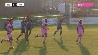 Wingate & Finchley v Dulwich Hamlet, Bostik League Premier Division, 24/02/18 | Match Highlights