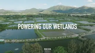 Powering Our Wetlands: Wetland NbS