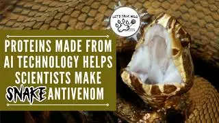 Protein Made From AI Technology Helps Scientists Make Snake Antivenom - Animal Research News Podcast