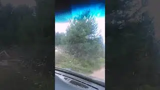 12 августа 2024 г.