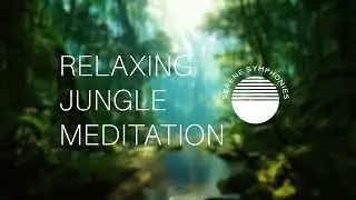 Jungle Sound Meditation by Day | Start Your Spiritual Journey with Serene Symphonies