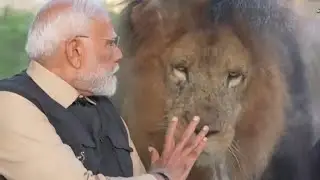 Modi at Rescue Centre Vantara at Gujarat🔥. #modi #modiji #namo #love #video #rescue #rescueanimals.
