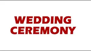 LIVE WEDDING CEREMONY // HOTEL CELEBRATION, HOSHIARPUR