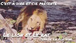 Le lion et le rat / Jean de la Fontaine #lion#jeandelafontaine#fables #lelionetlerat