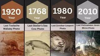 Last Photos Ever Taken of Extinct Animals
