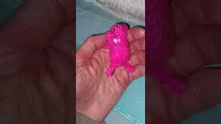 mes 1er cr&eacute;ation en crochet sans aucun mod&egrave;le