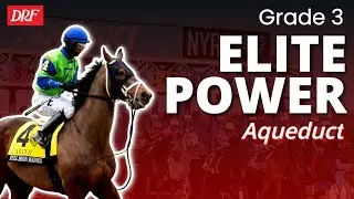 G3 Elite Power Picks & Analysis @ Aqueduct on Saturday