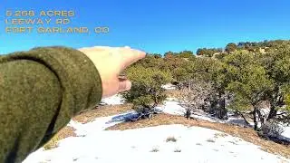 A 5.268 acre treed paradise | Fort Garland, Colorado