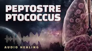 Peptostreptococcus 🦠 Bioresonance Protocol | Targeted Frequency Biofield Support (BRT)