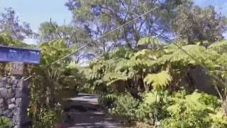 VOLCANO INN HAWAII
