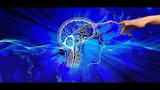 Interesting facts about the brain.