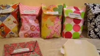 Diapees and Wipees Diapering Accessories