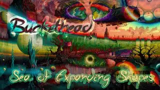 Buckethead & Extrakd &ndash; Sea of Expanding Shapes | A Psychedelic Visual Journey