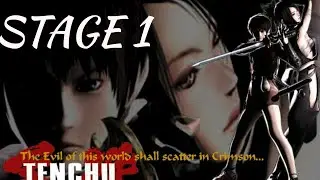 Tenchu fatal shadow ppsspp 1