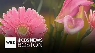 Tips for building a beautiful flower bouquet